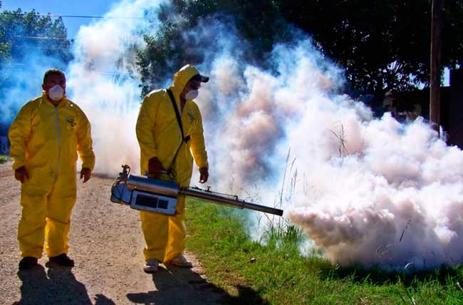 biología George Hanbury Monetario Continúan las tareas de fumigación contra mosquitos