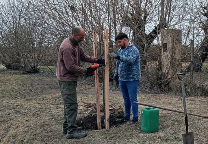 Campaña municipal “Tu casa, dos árboles”: plantaron cien ejemplares en barrio Las Quintas