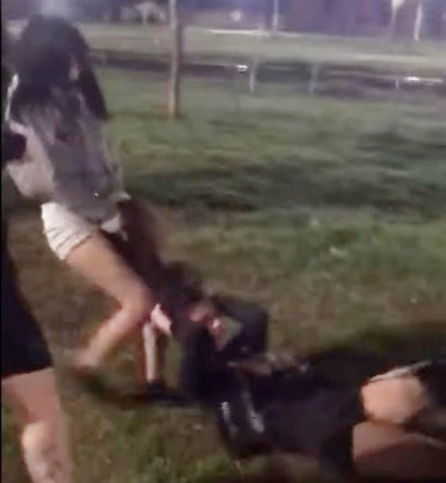 Brutal agresión a una adolescente a la salida de un Boliche de la región: la golpearon por defender a un amigo discriminado