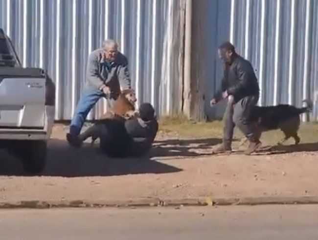 Causa contra la mujer que mató a un perro en barrio El Pino: La Justicia resolvió desestimar la denuncia en su contra