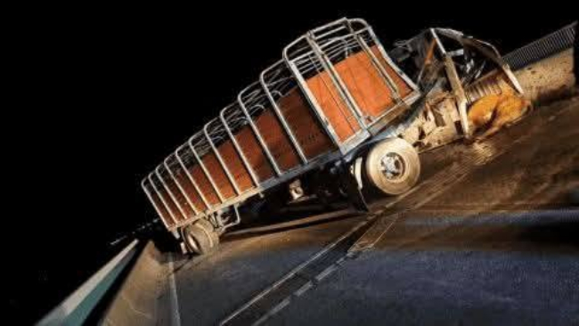 Fuerte accidente en el Puente Rosario–Victoria: tres heridos y una adolescente atacada por un toro