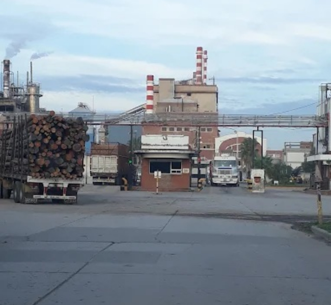 Celulosa Argentina pidió ingresar en concurso preventivo para evitar la quiebra
