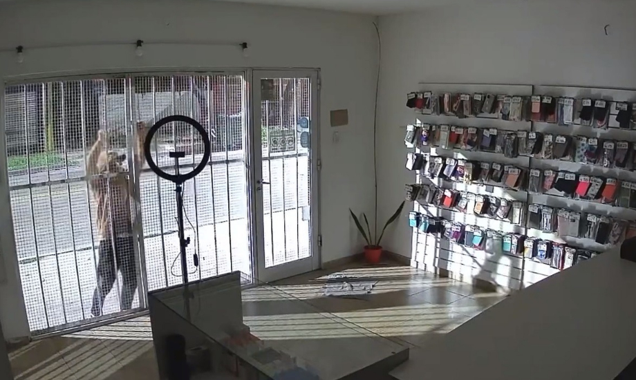 San Lorenzo: otro intento de robo en un local de tecnología de avenida San Martín al 3700