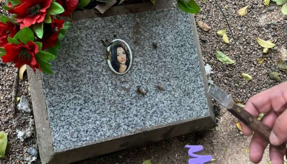 Vandalizaron la tumba de Sofía Delgado: indignación y preocupación 