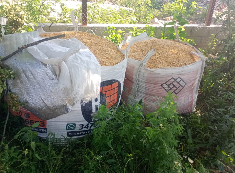 Puerto General San Martín: Tentativa de hurto de cereal y un aprehendido