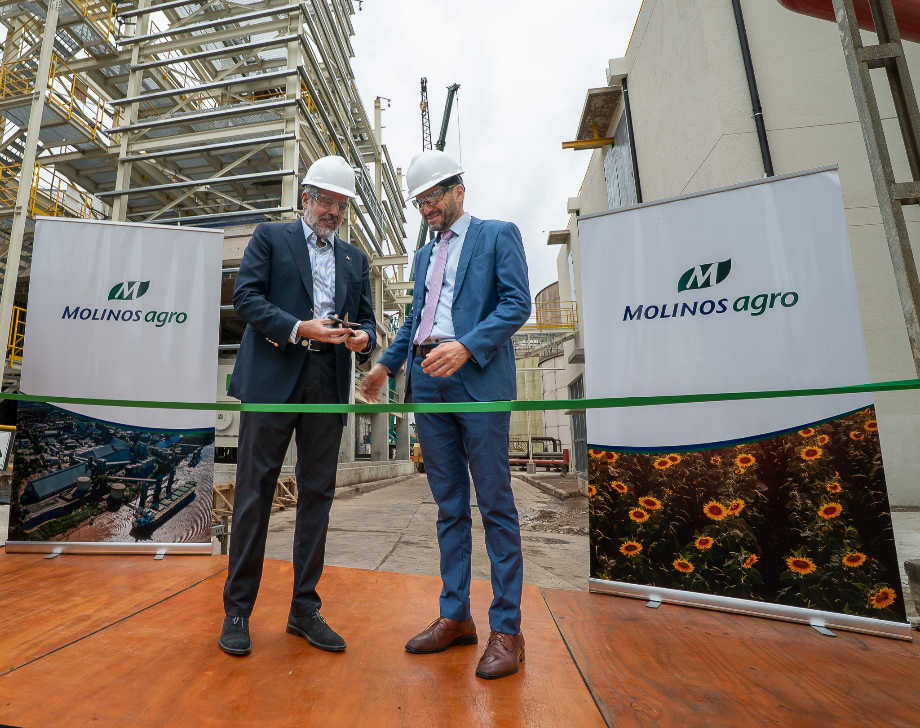 Molinos Agro anunció una inversión de USD 12 millones para ampliar su capacidad de molienda de girasol en San Lorenzo