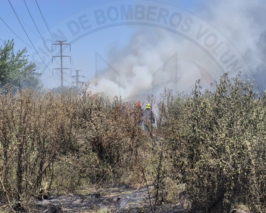Incendio de pastizales en el acceso a la autopista movilizó a dotaciones de bomberos en San Lorenzo