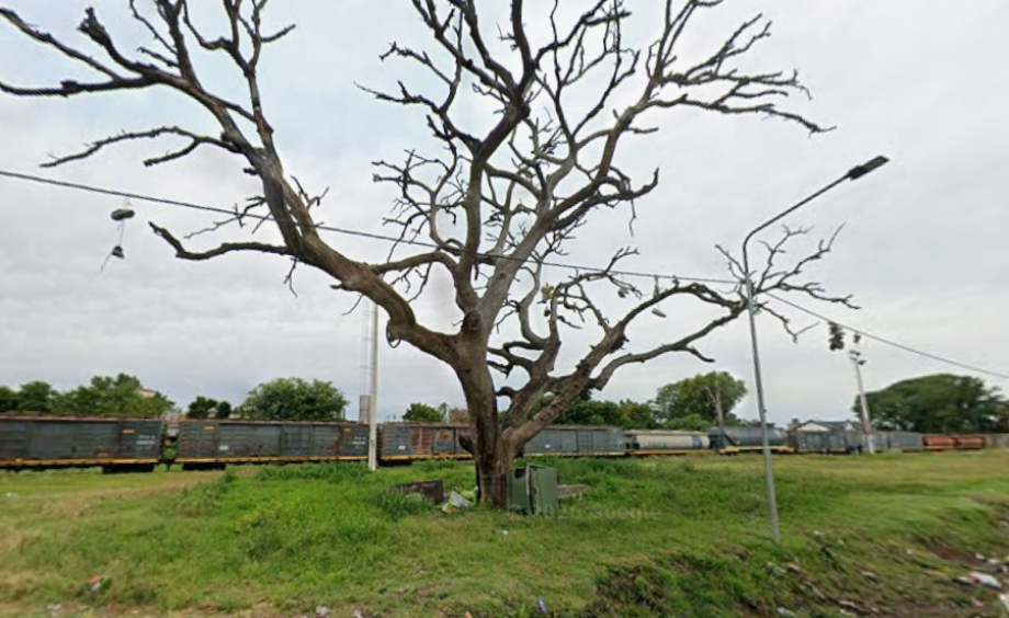 Tragedia en San Lorenzo: Hallan a un joven sin vida en la zona de vías