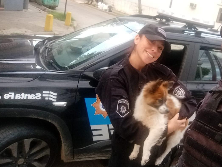 Capitán Bermúdez: Rescatan a un perro encerrado en un auto tras el alerta de vecinos
