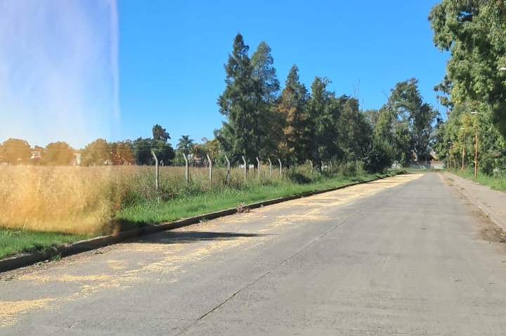 Trampas de soja: El peligro diario de circular en el cordón industrial