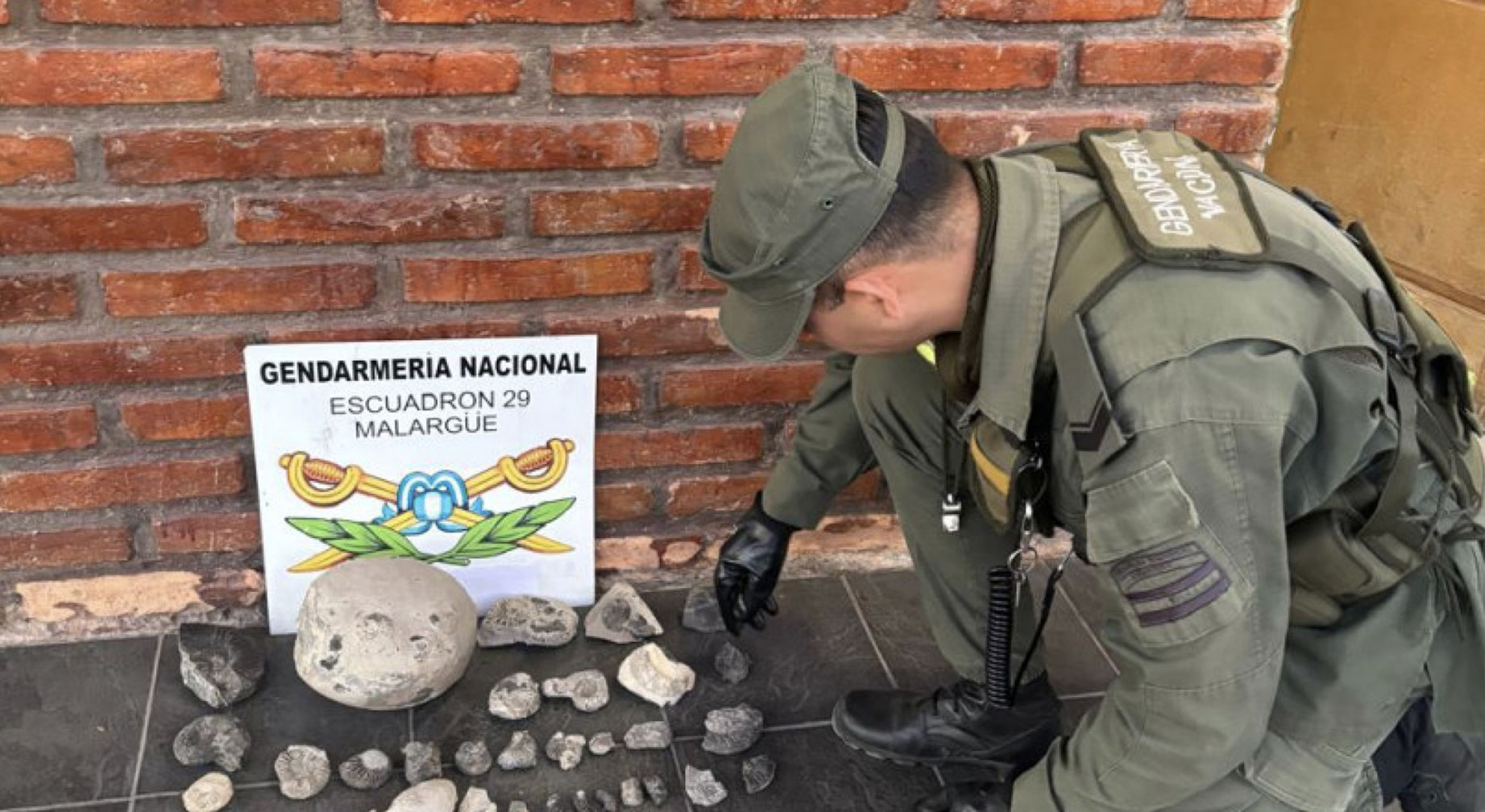 Mendoza: hallan piezas pétreas “Amonites” cuando controlaron un automóvil