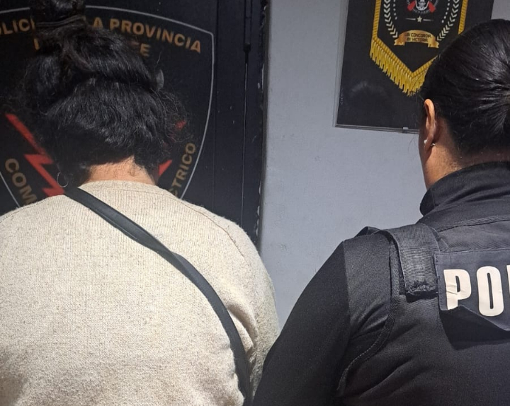 San Lorenzo: Una mujer de 39 años fue detenida tras robar un celular