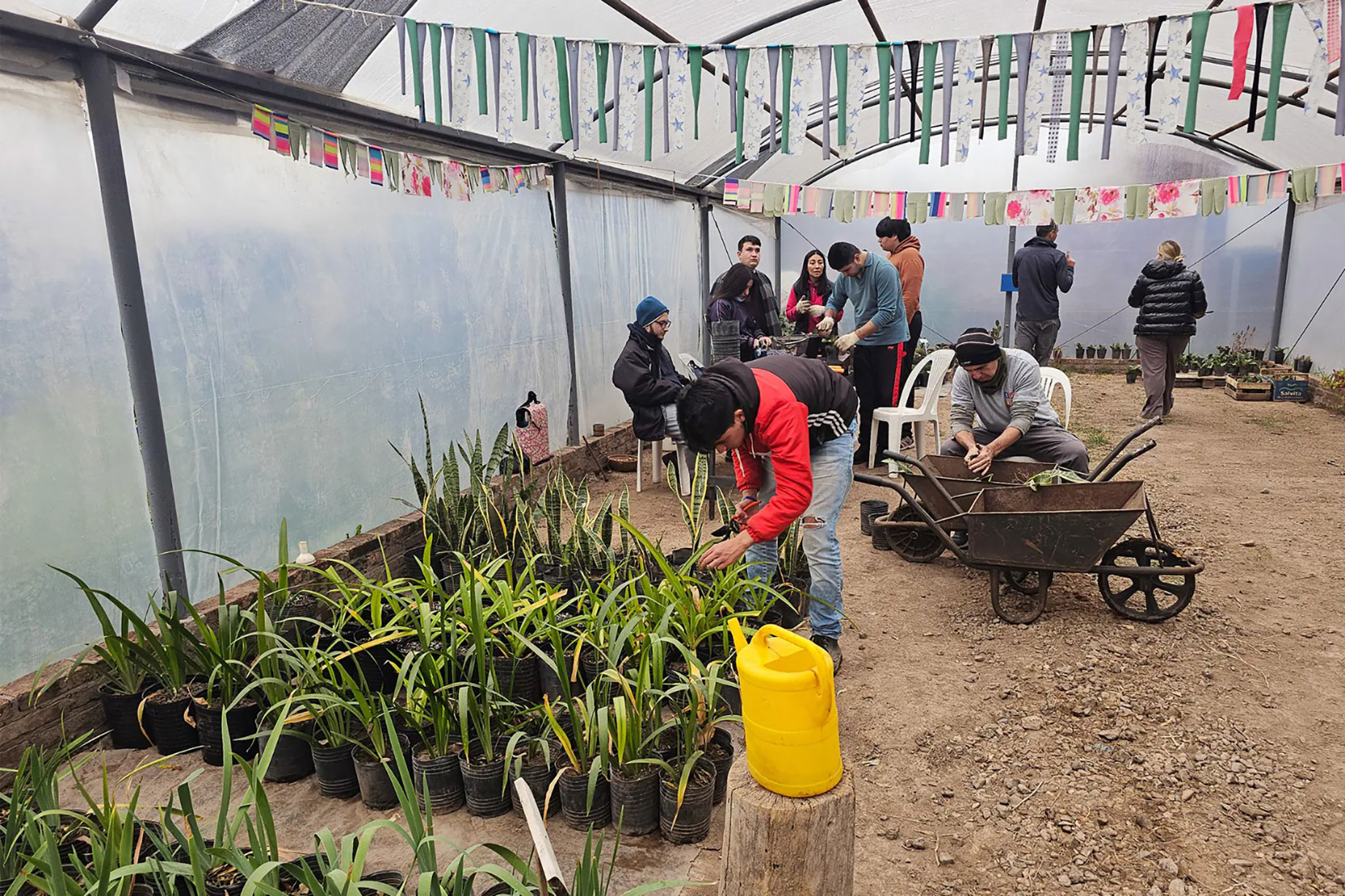 El Vivero Inclusivo recibió herramientas para fortalecer su producción