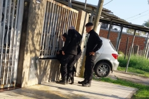 San Lorenzo: bomberos rescataron a un perro que quedó atrapado en las rejas de una vivienda
