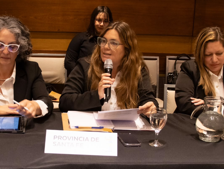 Di Stéfano presentó las políticas santafesinas de niñez en un encuentro nacional de legisladores
