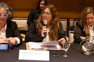 Di Stéfano presentó las políticas santafesinas de niñez en un encuentro nacional de legisladores