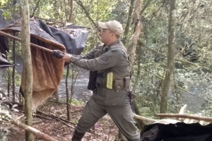 Misiones: Desmantelaron un campamento de cazadores furtivos en el interior de la Reserva de la Biosfera Yabotí