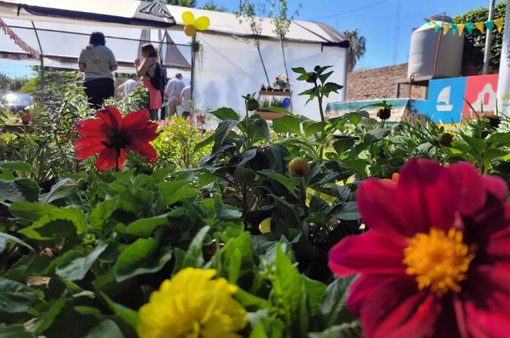 El Vivero Inclusivo de San Lorenzo realizará una Feria de la Primavera este viernes