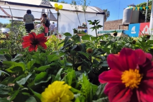 El Vivero Inclusivo de San Lorenzo realizará una Feria de la Primavera este viernes