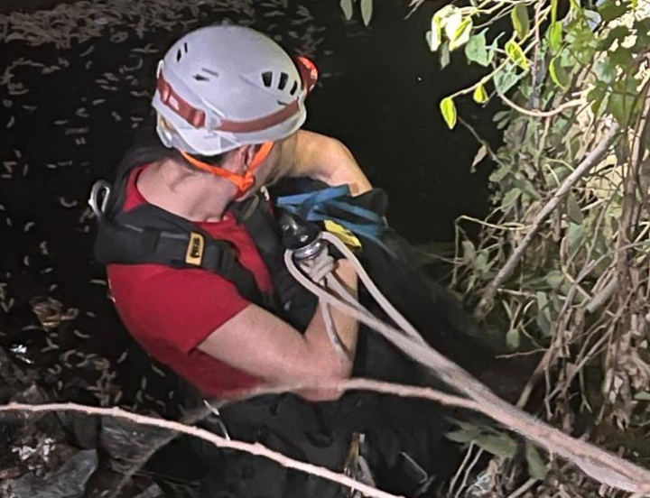Rescatan a un perro que cayó al arroyo San Lorenzo en Puerto General San Martín