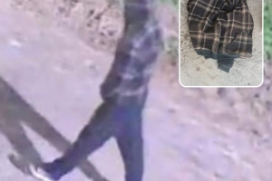 Robaron un televisor de una casa en San Lorenzo y detuvieron a un sospechoso tras seguir su recorrido por cámaras