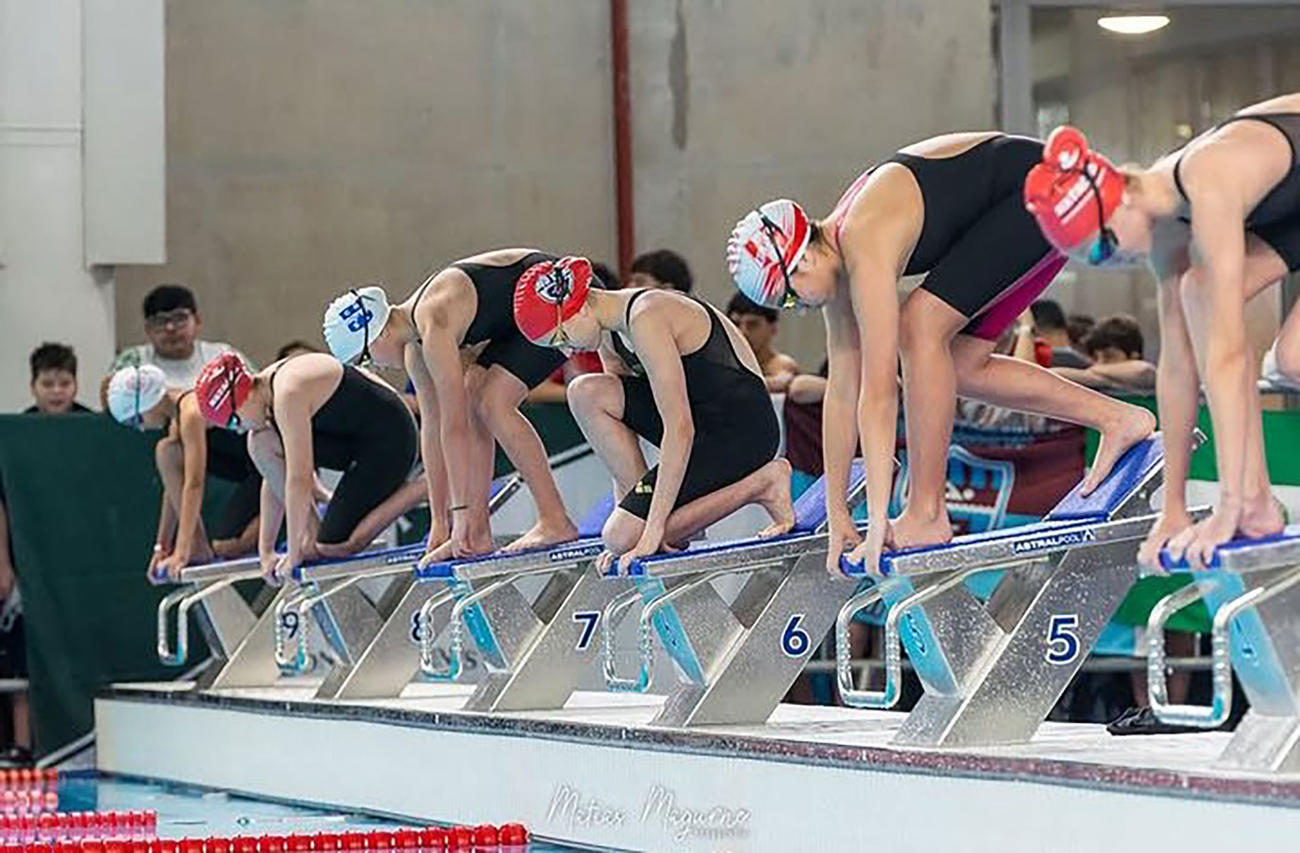 La natación de Red Star sigue creciendo: nueve podios y cinco finalistas en la Copa Santa Fe