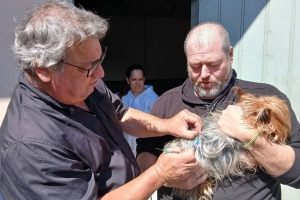 Con 230 animales vacunados en una sola jornada, finalizó la campaña anual de vacunación antirrábica