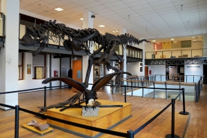 El Museo Gallardo reabrirá este viernes con nuevas muestras tras dos años de obras