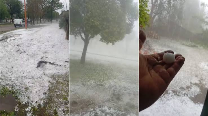 Violento temporal de lluvia y granizo: destrozos, viviendas inundadas y animales muertos en localidades de Santa Fe