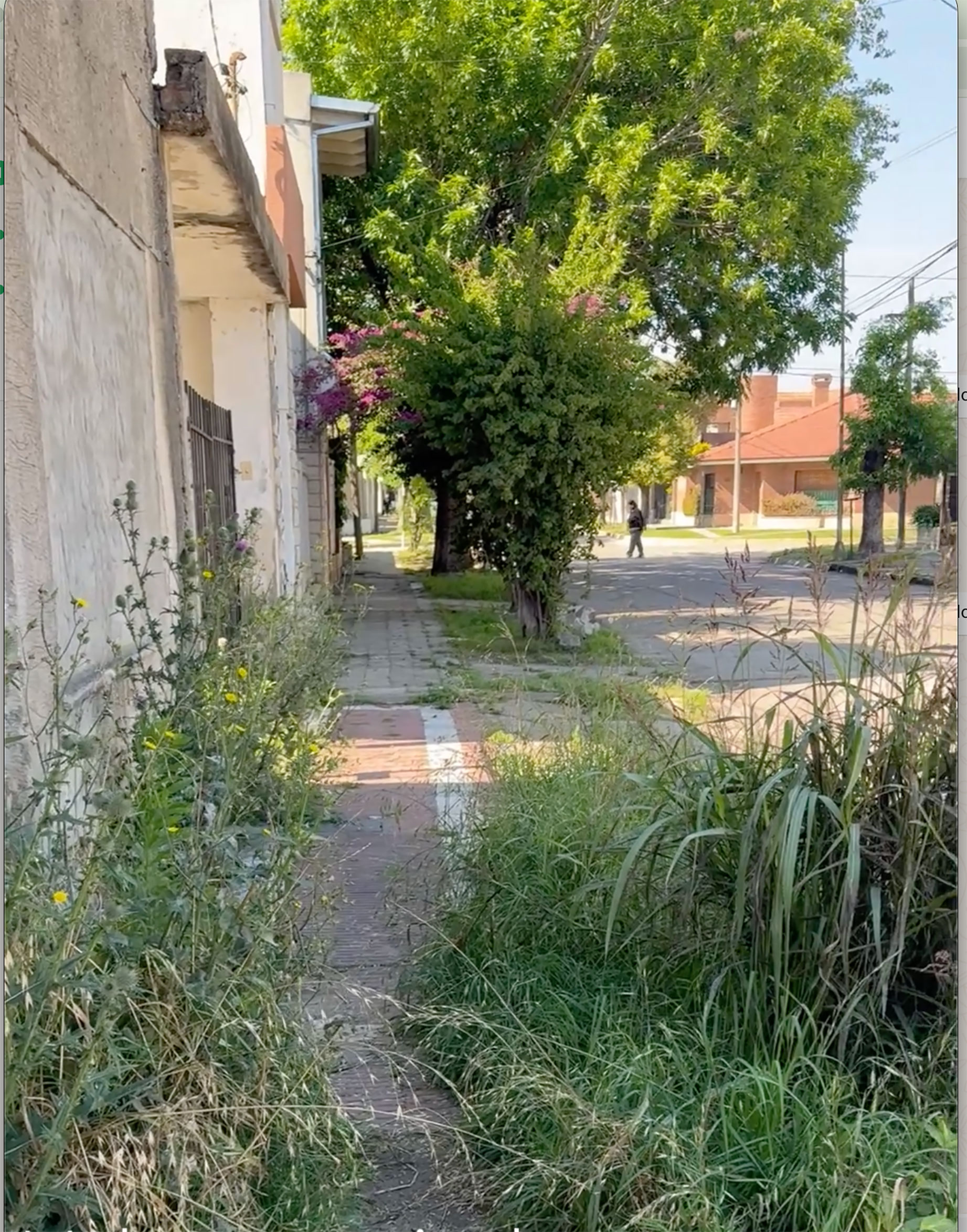 Malestar vecinal por una casa con malezas y suciedad en Poucel al 1000