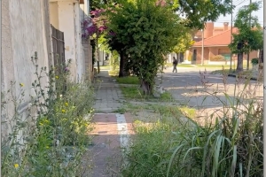 Malestar vecinal por una casa con malezas y suciedad en Poucel al 1000